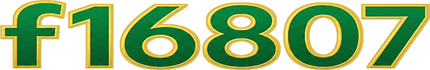 f16807